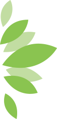 Délicevermice logo
